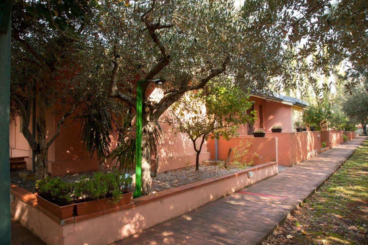 Aliajazz - B&B Hotel - Castrovillari Exterior foto